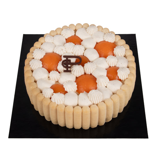 Charlotte - Entremet